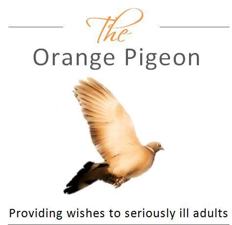 The Orange Pigeon