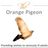 The Orange Pigeon