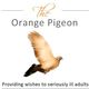 The Orange Pigeon