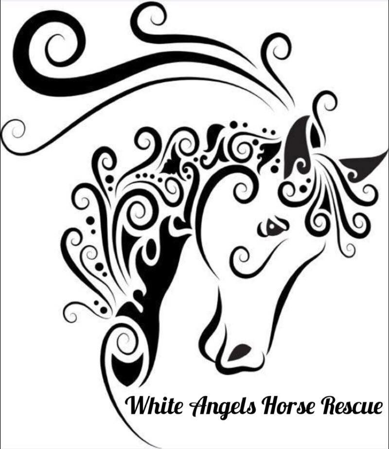 White Angels Horse Rescue and Sanctuary