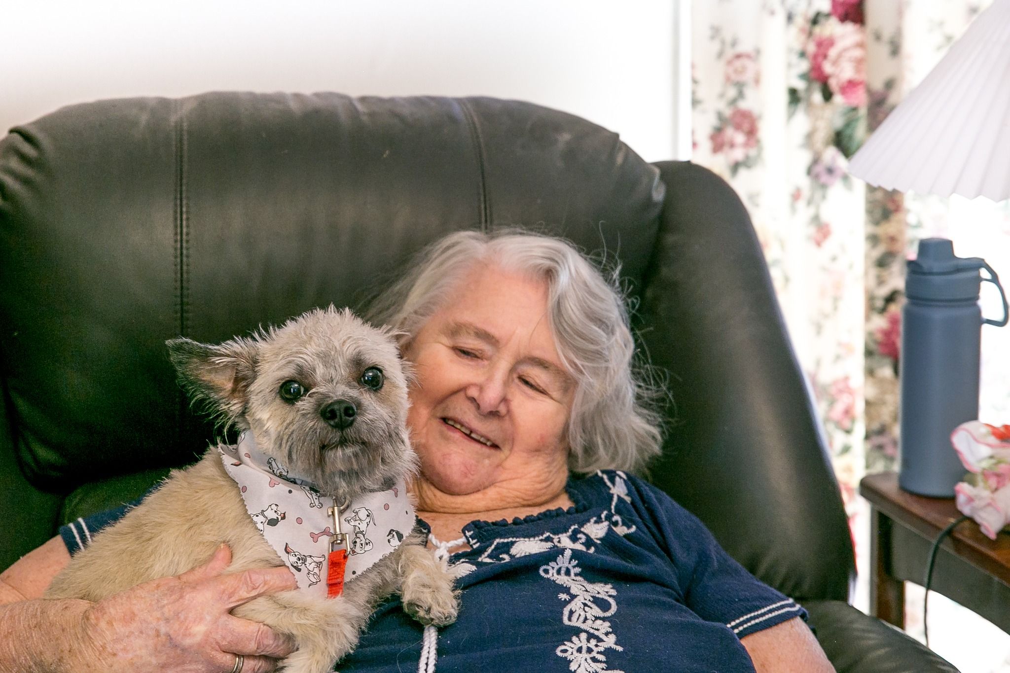 Safe Pets Safe Families