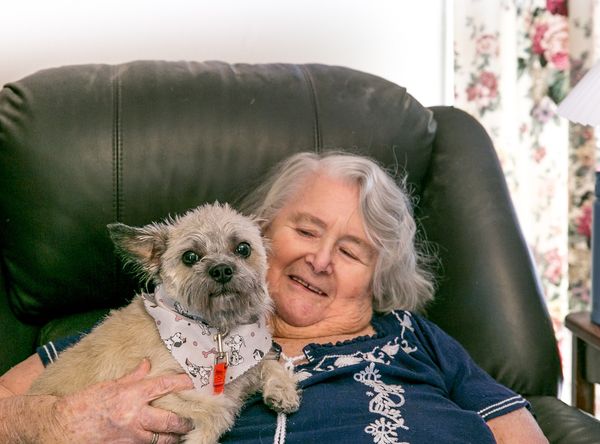 Safe Pets Safe Families