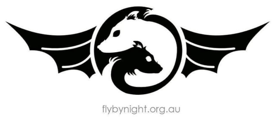 Fly By Night Bat Clinic