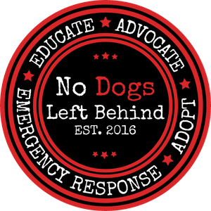 No Dogs Left Behind