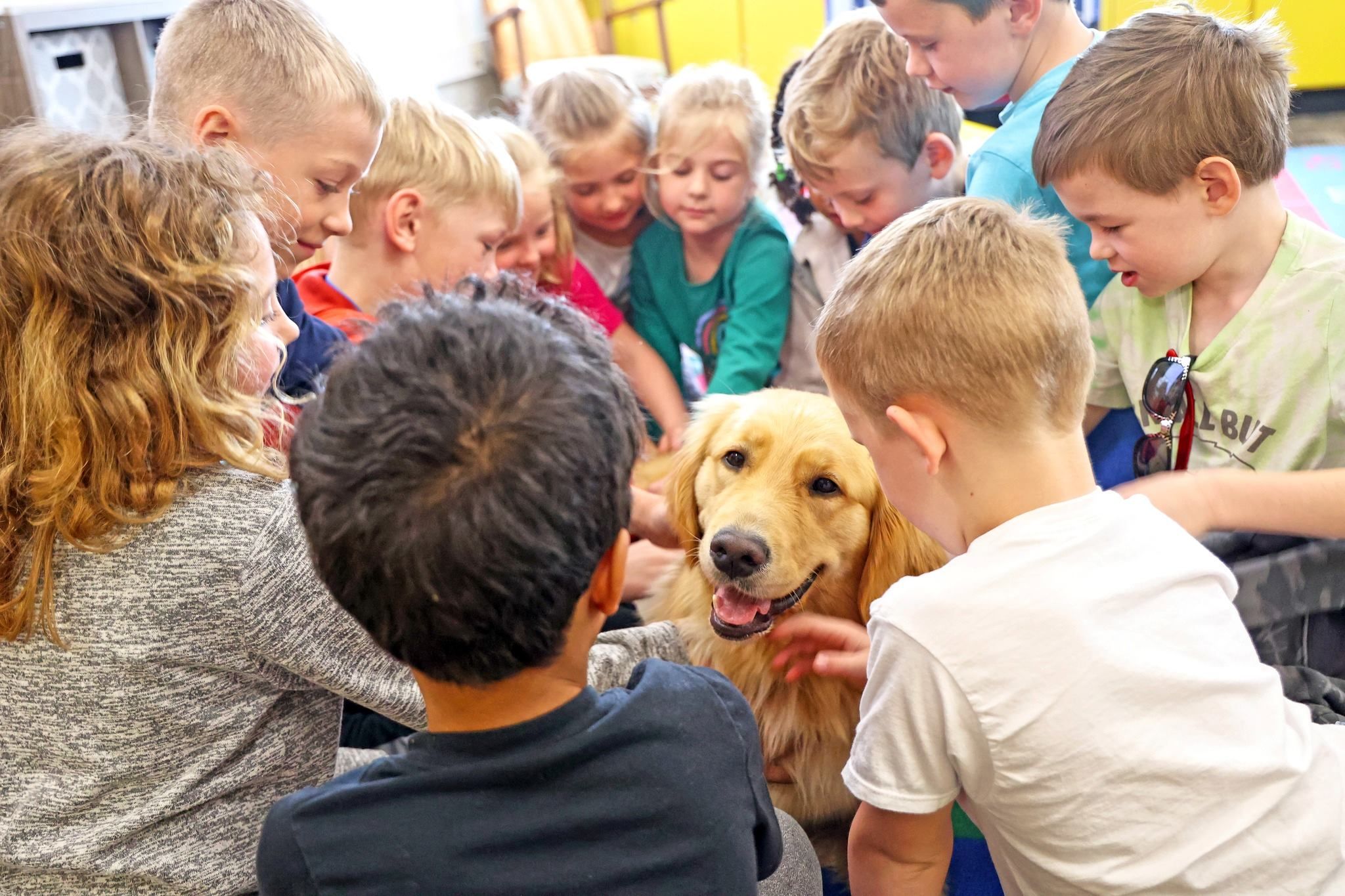 Paws With A Cause