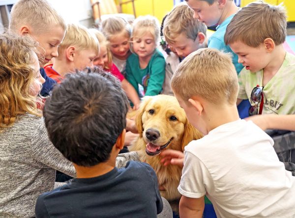 Paws With A Cause