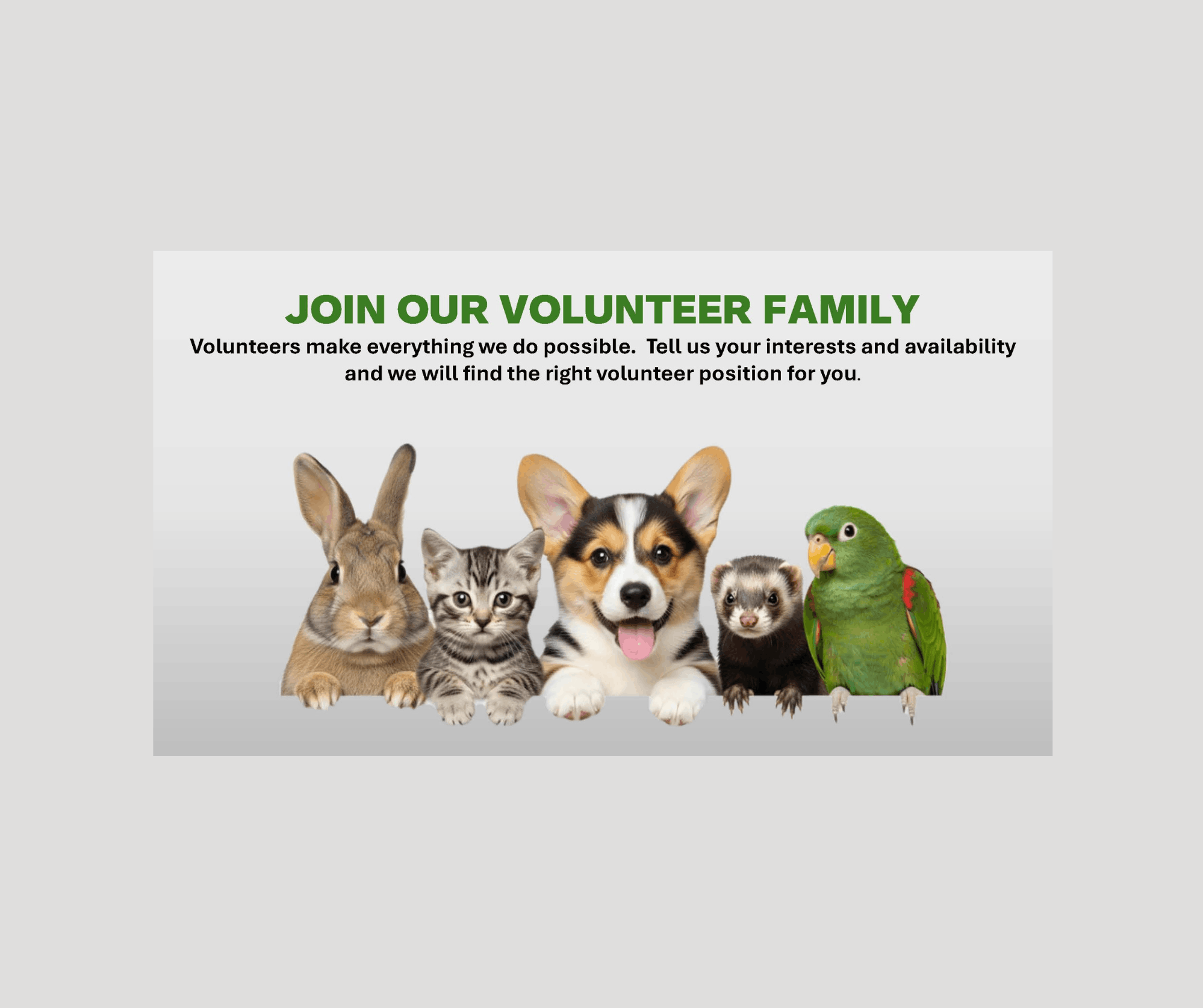 Disaster Animal Response Team of Nova Scotia