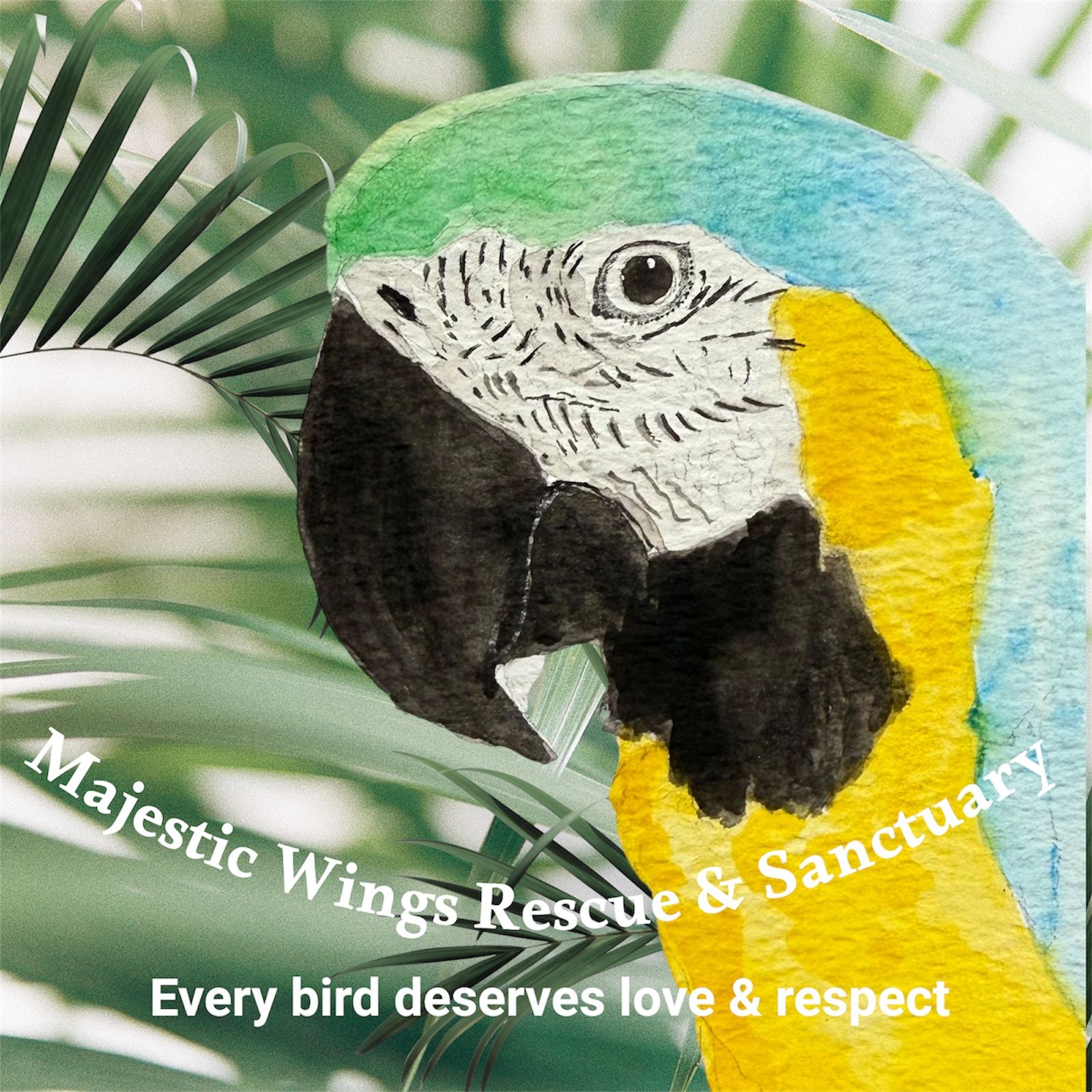Majestic Wings Rescue