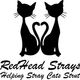 Red head strays helping stray cats