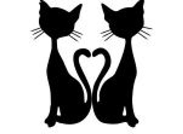 Red head strays helping stray cats