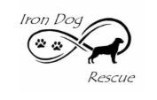 Iron Dog Rescue