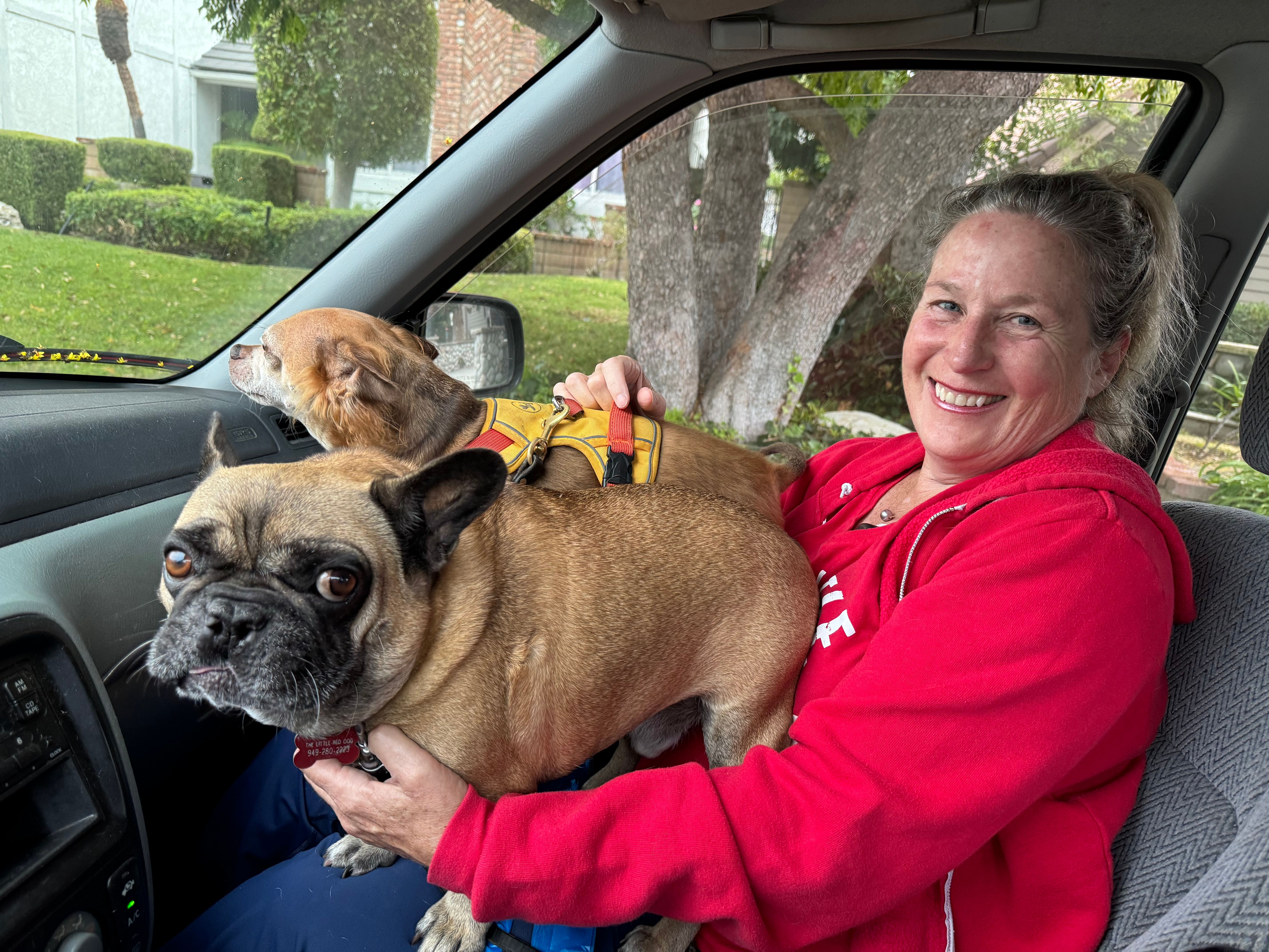 The Little Red Dog, Inc.