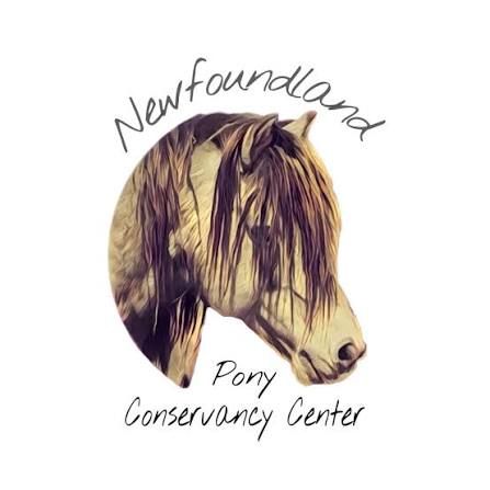 Newfoundland Pony Conservancy Center