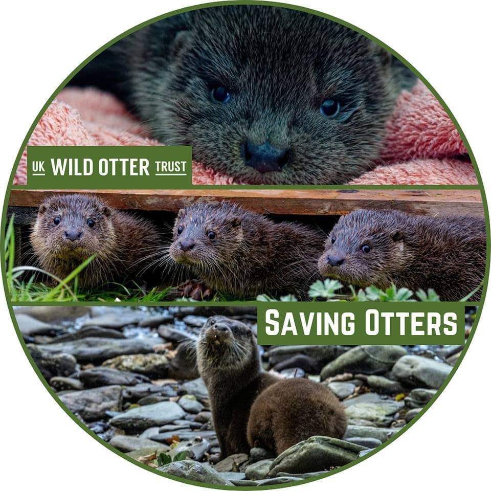 UK WILD OTTER TRUST
