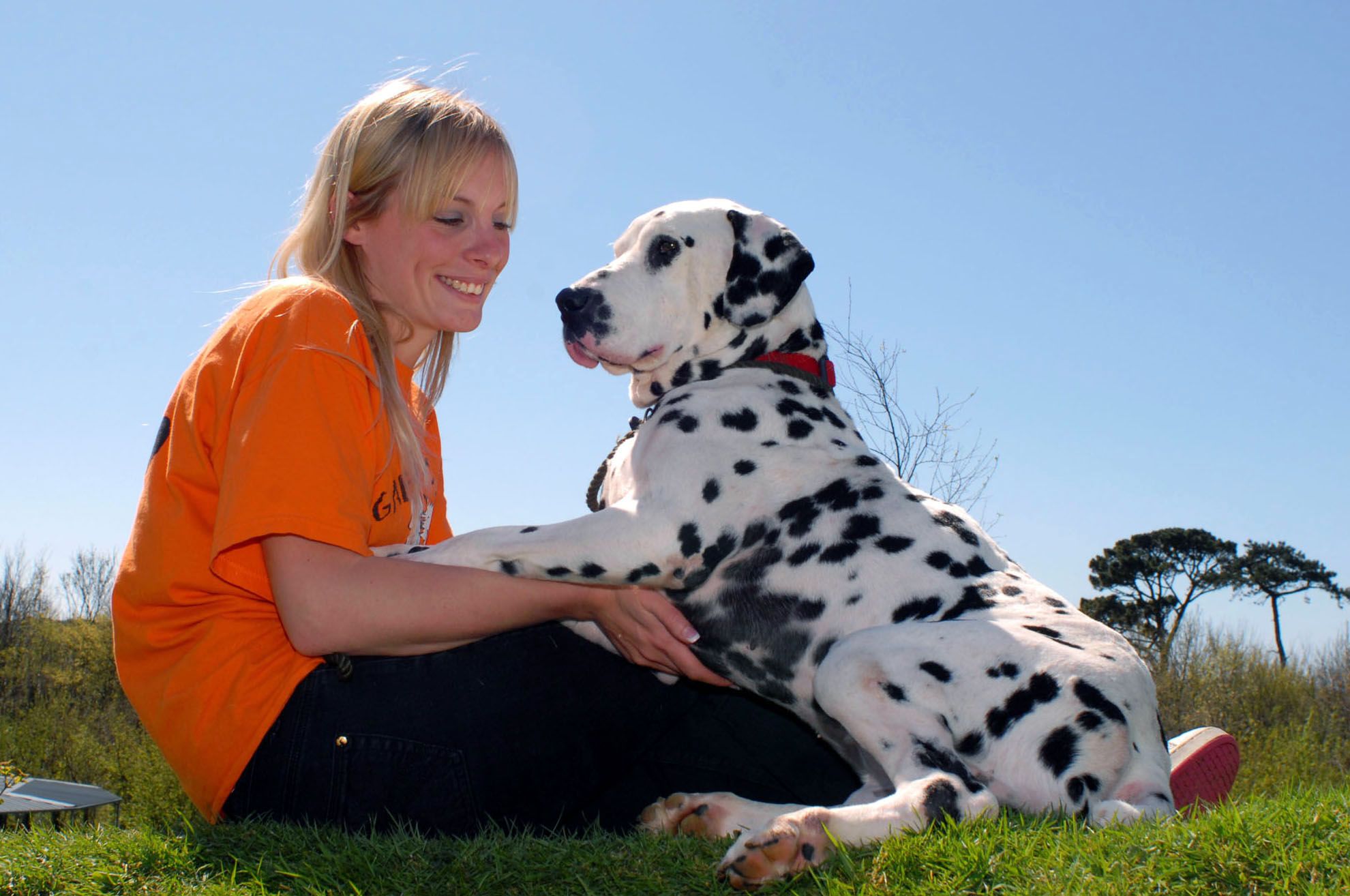 Gables Dogs and Cats Home