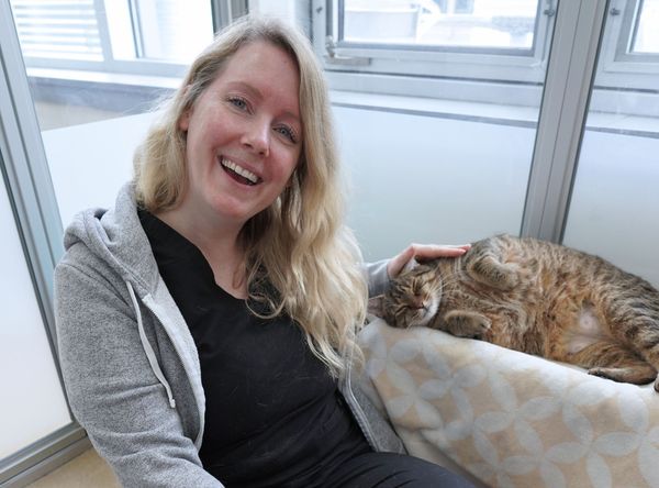 Toronto Humane Society