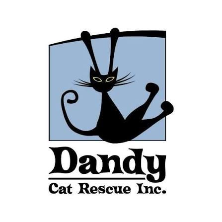 Dandy Cat Rescue