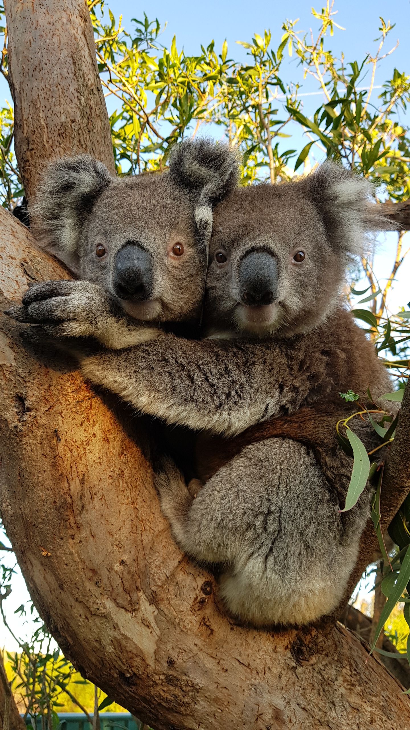 Waterholes Wildlife Sanctuary