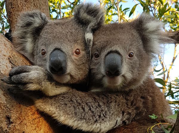 Waterholes Wildlife Sanctuary