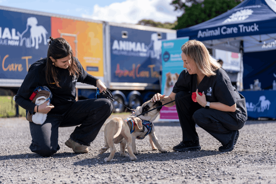 Animal Welfare League NSW