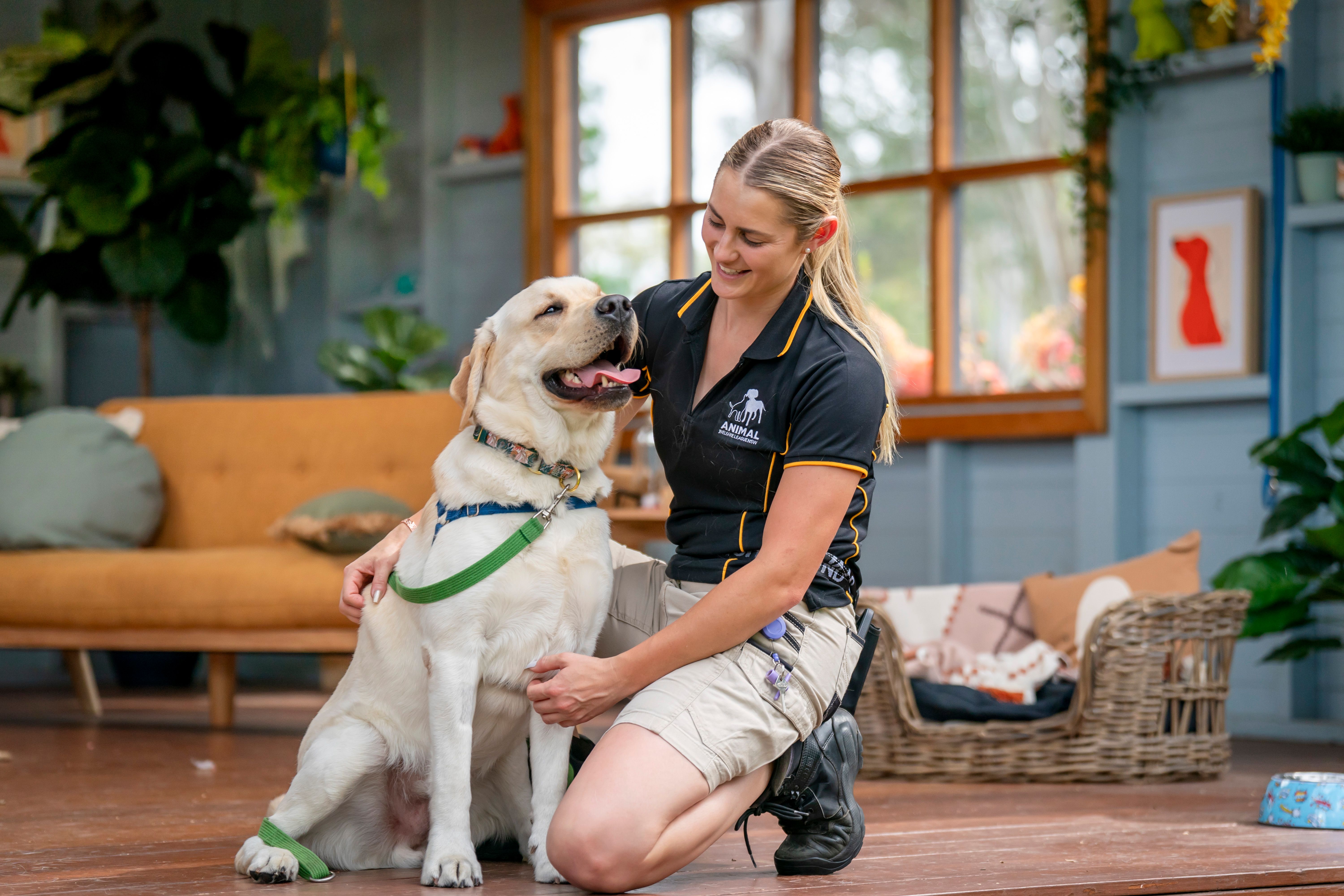 Animal Welfare League NSW