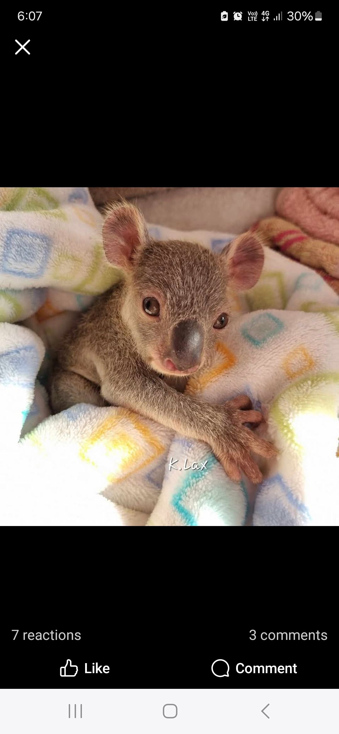 Kirsty's Bird Sanctuary