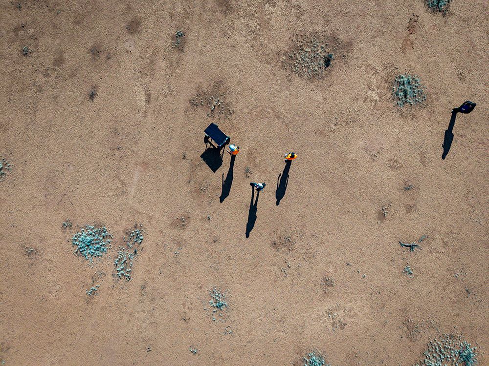 For the Love of Wildlife Ltd