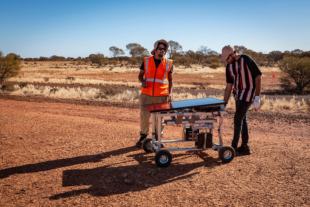 For the Love of Wildlife Ltd