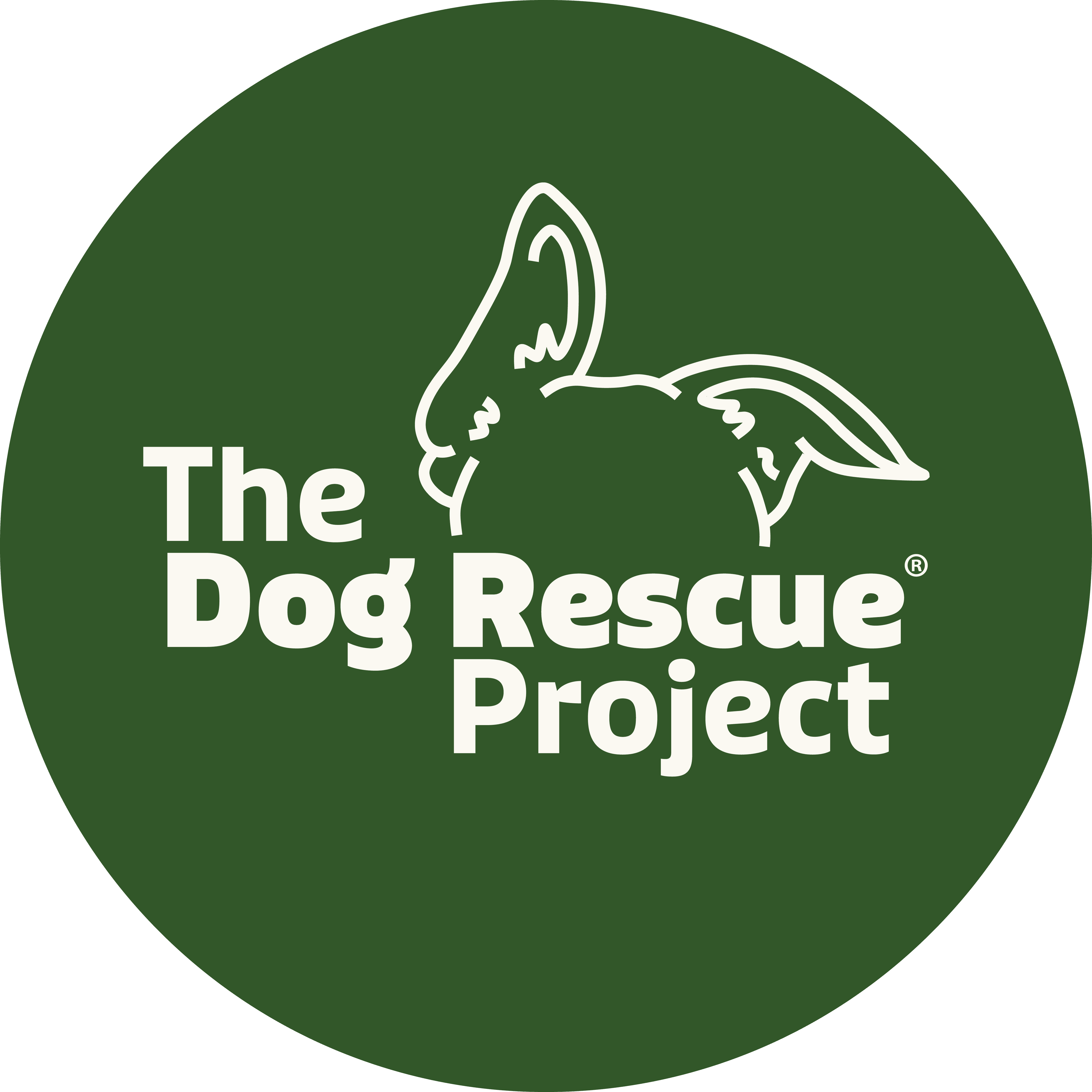 The Dog Rescue Project