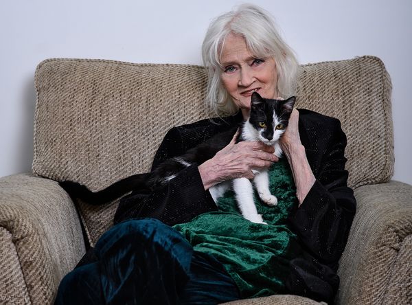 Celia Hammond Animal Trust