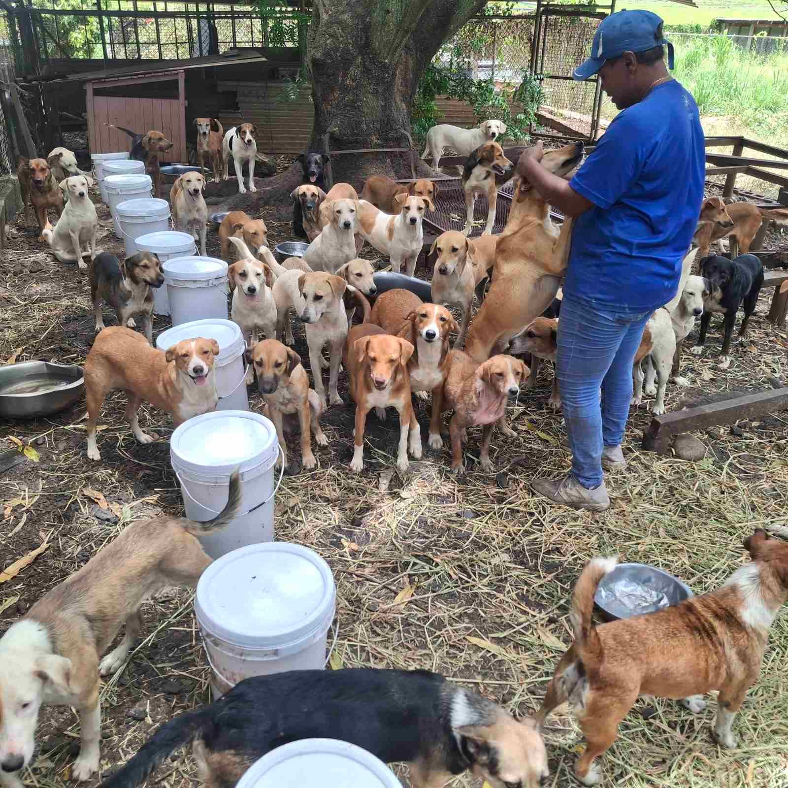 The Greater Good Foundation - Fiji