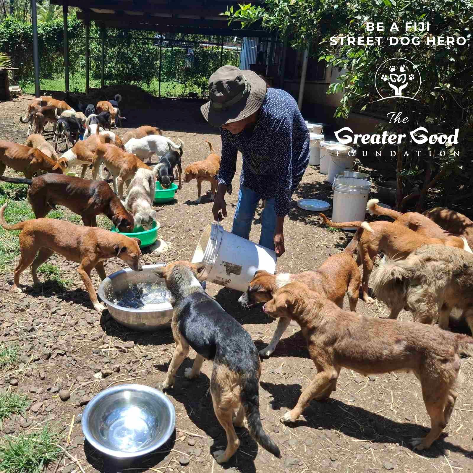 The Greater Good Foundation - Fiji