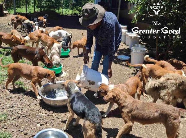 The Greater Good Foundation - Fiji