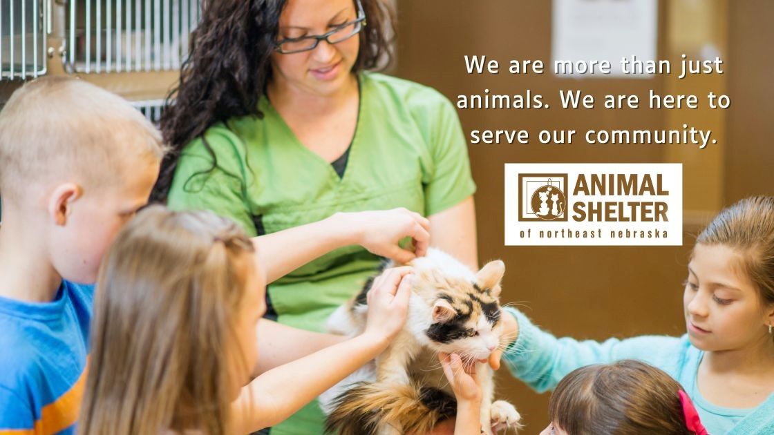 Animal Shelter of Northeast Nebraska