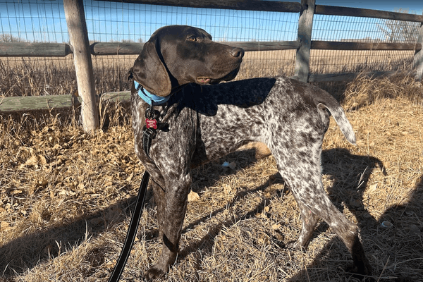 All Points West GSP Rescue