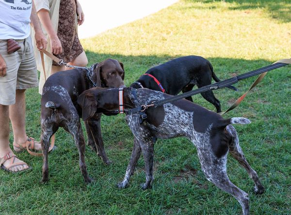 All Points West GSP Rescue