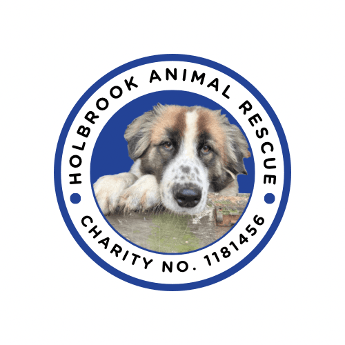 Holbrook Animal Rescue