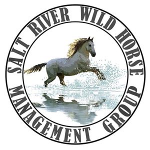 Salt River Wild Horse Management