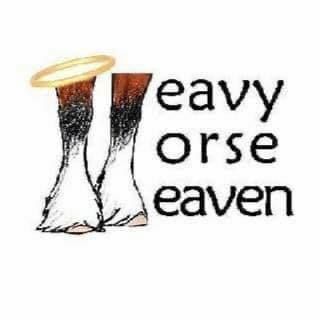 Heavenly Horses Horse Rescue