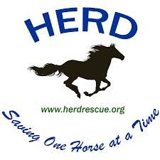 Helping Equine Regain Dignity