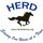 Helping Equine Regain Dignity