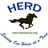 Helping Equine Regain Dignity