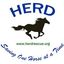 Helping Equine Regain Dignity