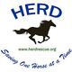 Helping Equine Regain Dignity