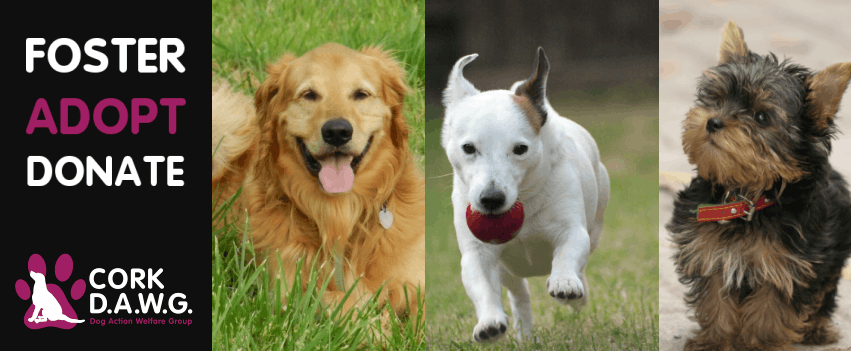 Cork Dog Action Welfare Group