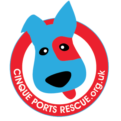 Cinque Ports Rescue