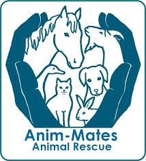 Anim-Mates
