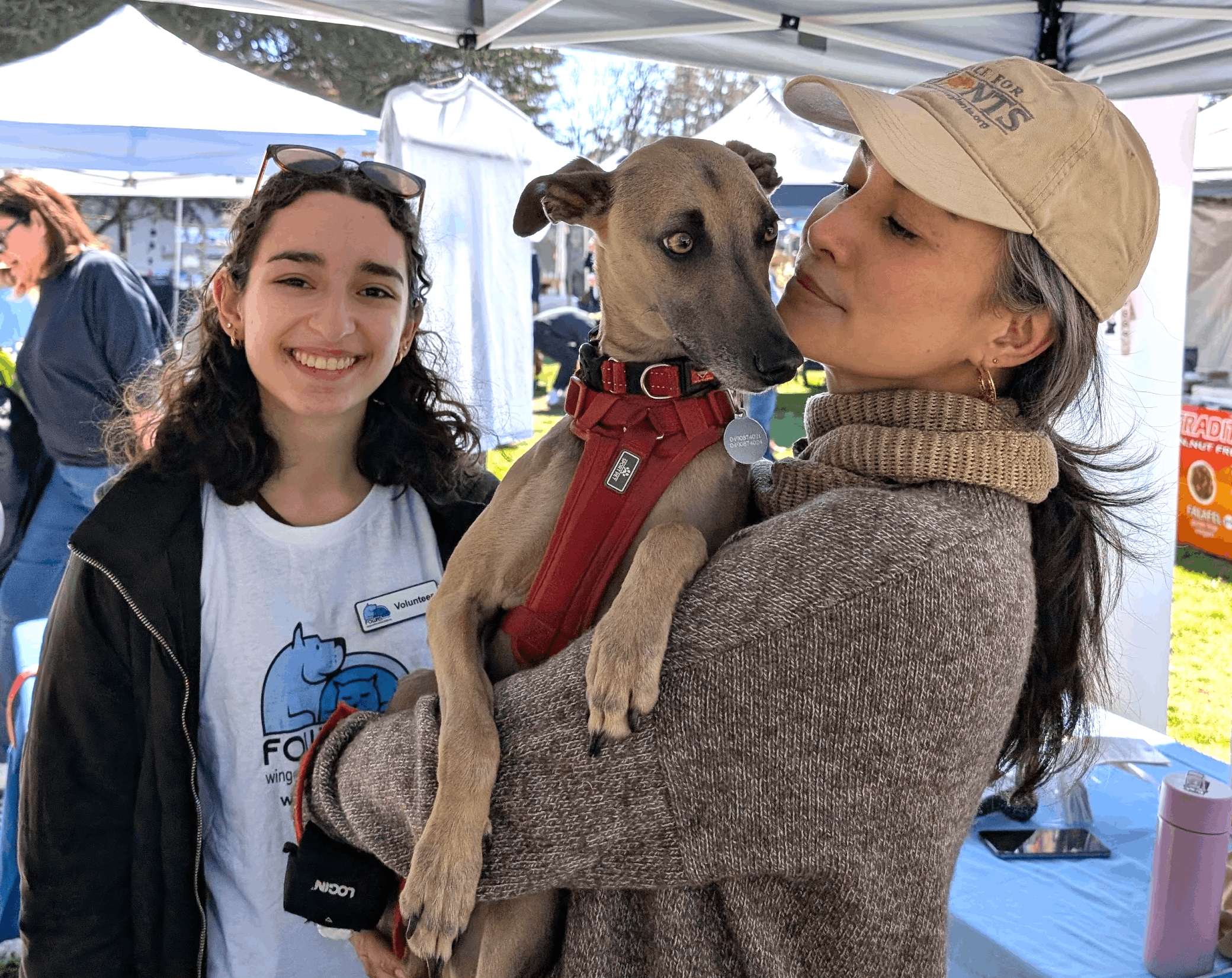 Friends of the Wingecarribee Animal Shelter