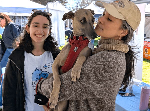 Friends of the Wingecarribee Animal Shelter