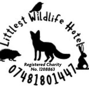 Littlest Wildlife Hotel - Cornwall